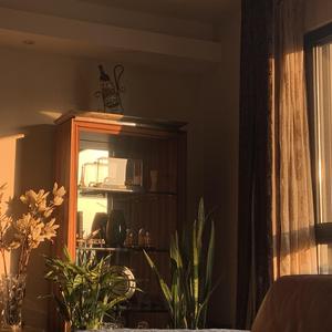 Love's Labour's Lost