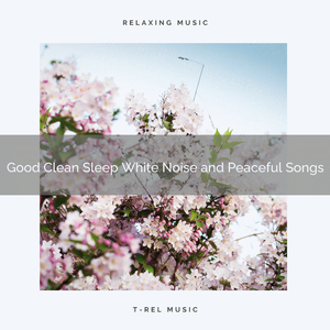 The Music of Perfect Sleepy Noise and Love Now