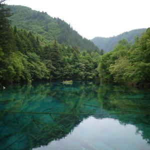 探清水河（DJ勇强版）