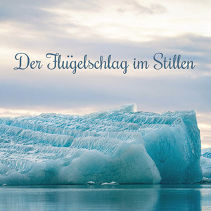 Der Flügelschlag im Stillen