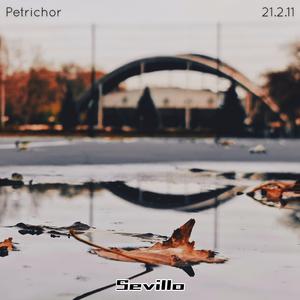 Petrichor