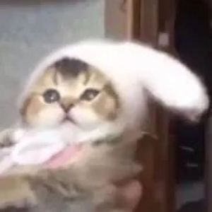 爱我的资格（cover S.H.E）