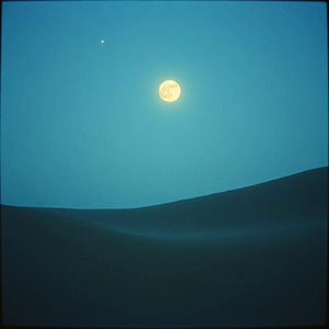 夜空が囁く恋の調べ