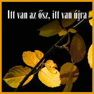 Itt Van Az Ősz, Itt Van Újra