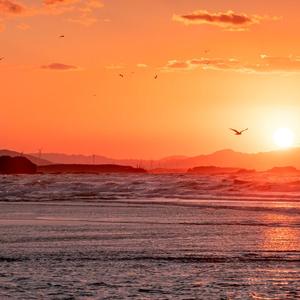 友情多余暧昧未够