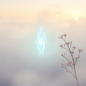 Purification(净化)