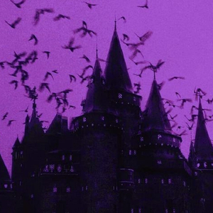 SUNRISE (slowed + reverb)