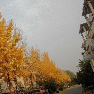 《仰望那片星空》