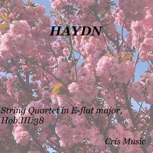Haydn: String Quartet in E-Flat Major, Hob.III:38: 4. Finale. Presto
