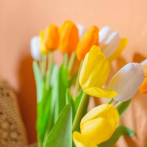 겨울에서 봄으로