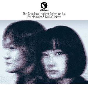 The Satellites Looking Down on Us