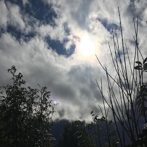 Movement 3: Dreamscape