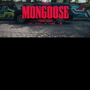 Mongoose