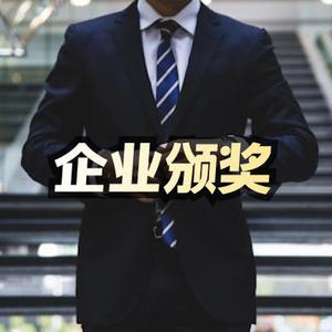 辉煌企业政府颁奖典礼