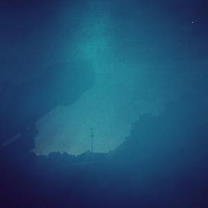 Under The Grapefruit Tree