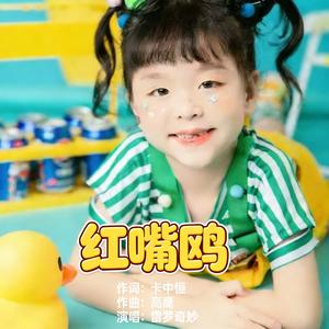 红嘴鸥