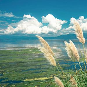 忘记以前（古筝）