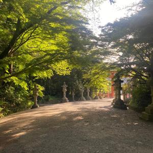 スキップ（instrumental）