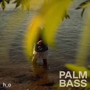 Palm Bass