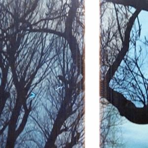 August Blue (Live in Forest with Harp)