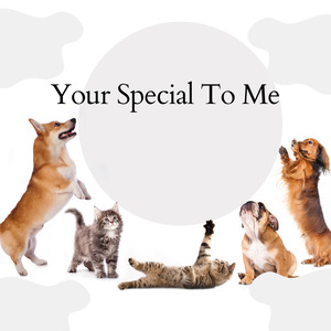 Your Special To Me