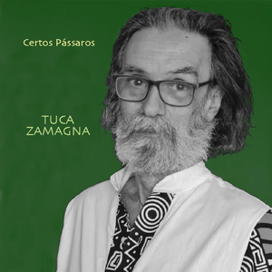 Certos Pássaros (feat. Luna Messina & Toninho Horta)