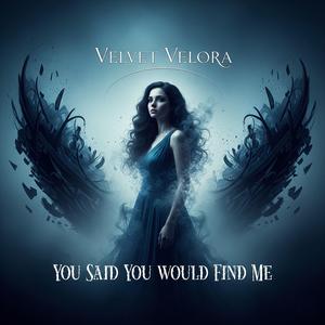 You Said You Would Find Me