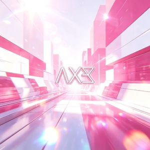 G2G（Axer Filp）