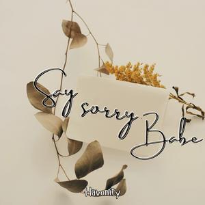 Say Sorry Babe