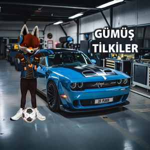 Gümüş Tilkiler (35 Plaka)