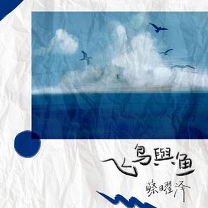 飞鸟与鱼