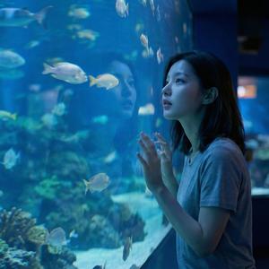 Aquarium in the City