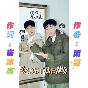 S.G.T 双高胎