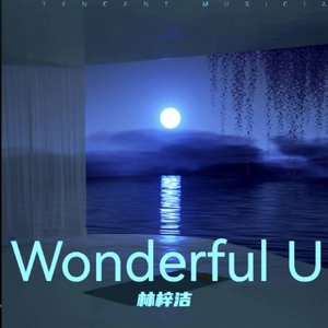 Wonderful U