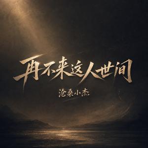 再不来这人世间