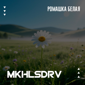 Ромашка белая