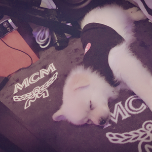 我想和你在一起（Cover 余佳运）