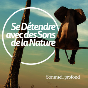 Birds in the Background