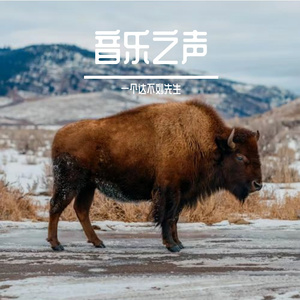 山河无恙在我胸