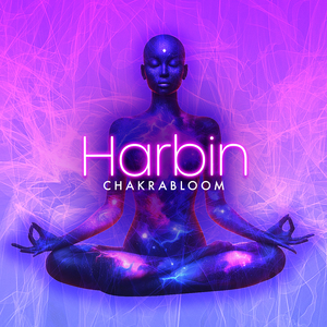 Harbin