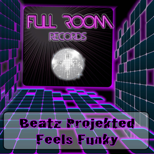Feels Funky (Original Mix)