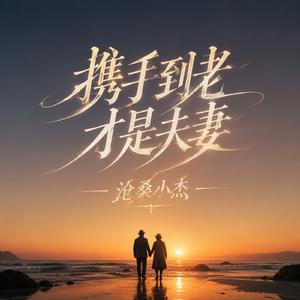 携手到老才是夫妻