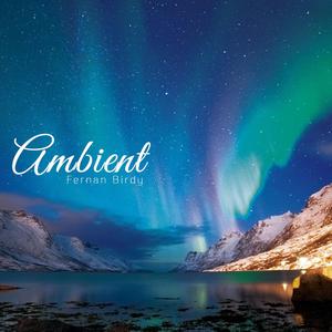 Echoes of the Universe