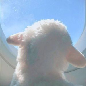 我们总是在寻找