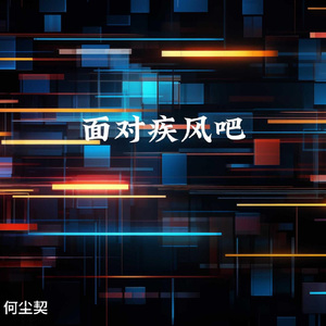 面对疾风吧