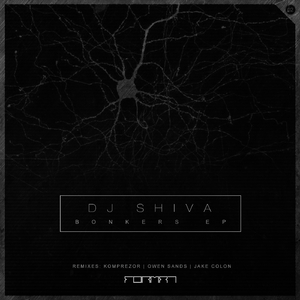 Bonkers (Original Mix)