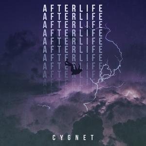 Afterlife