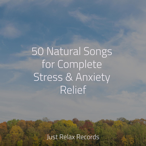 Ocean's Endless Calling