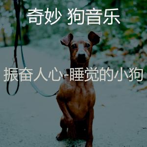 睡狗(情怀)