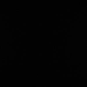 你们的生活怎么样